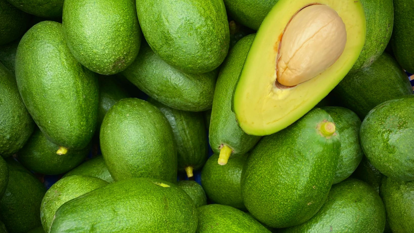 Aguacates de Campos del Abuelo