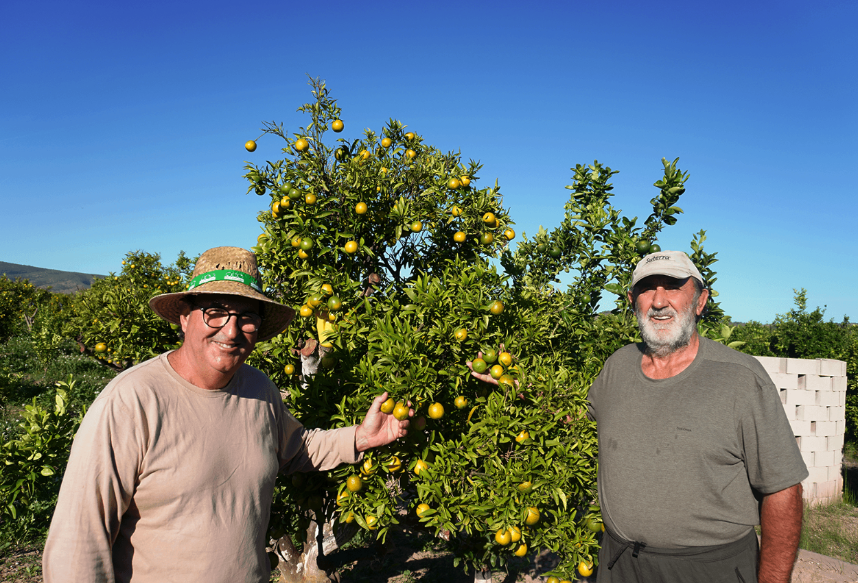 Eduardo y Antonio agricultores de Campos del Abuelo
