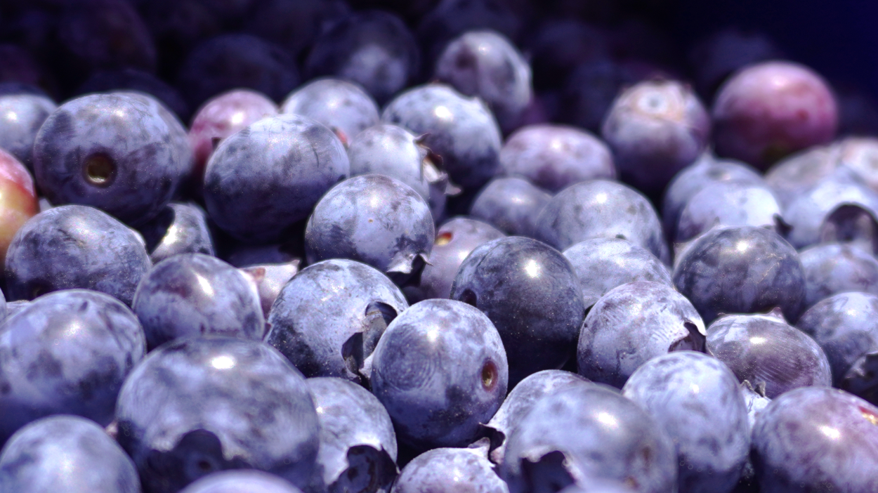 Beneficios de consumir arándanos