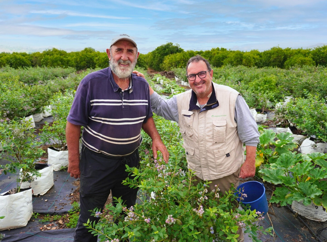 Is It Cheaper To Buy From A Farmer We Give You All The Keys Campos Is It Cheaper To Buy From A Farmer We Give You All The Keys Campos