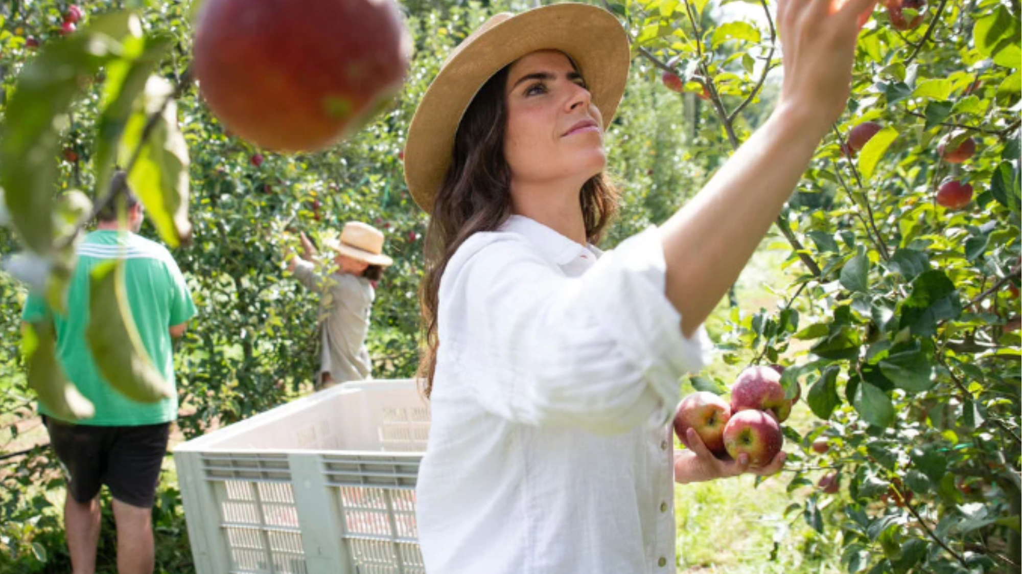 Ana recolectando manzanas | Campos del Abuelo