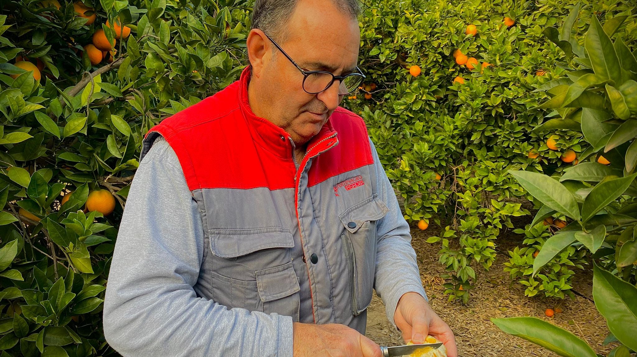 Pela La Naranja Con Cuchillo, Como Un Agricultor
