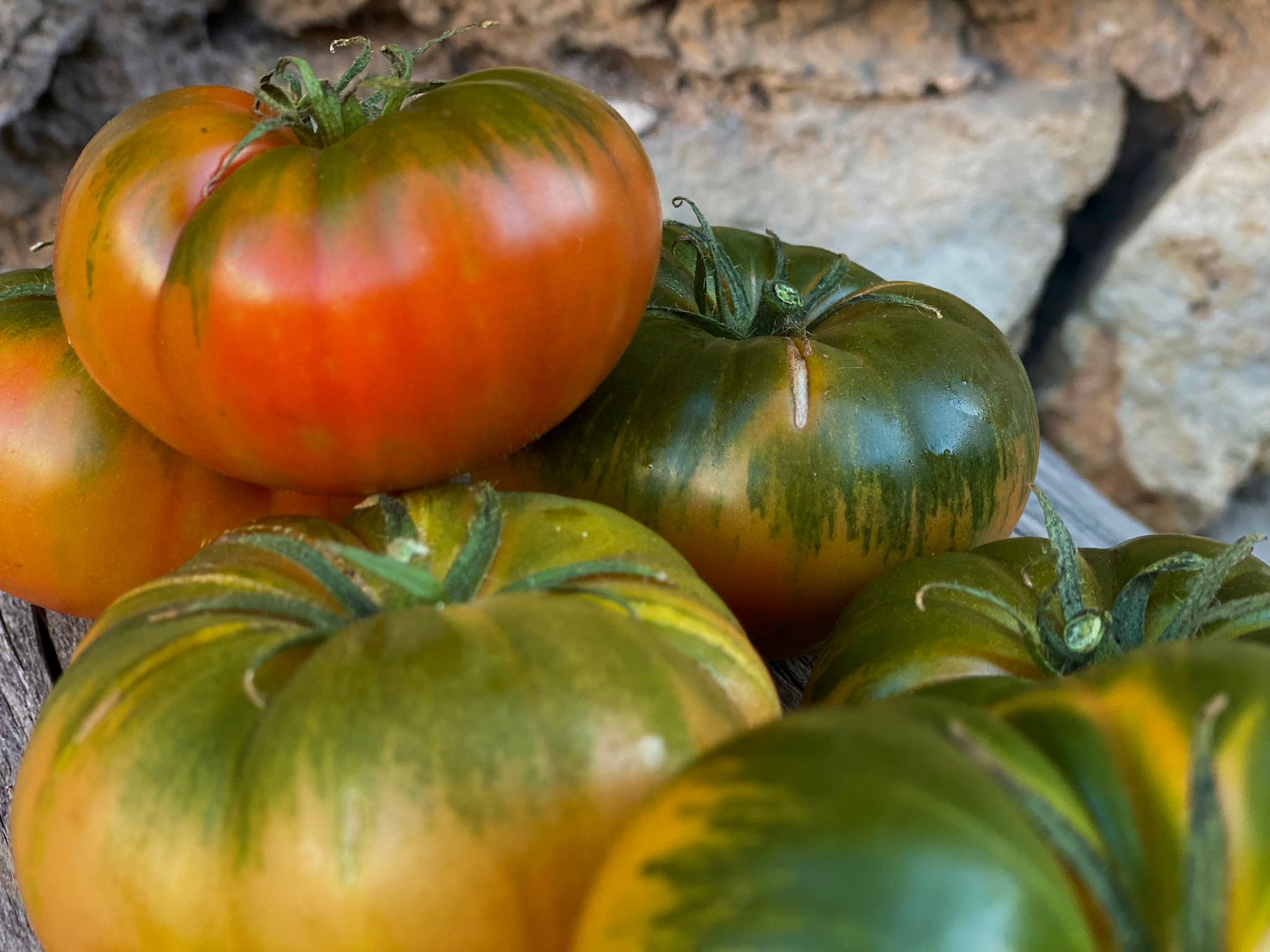 Tomates mini raf auténticos de Campos del Abuelo