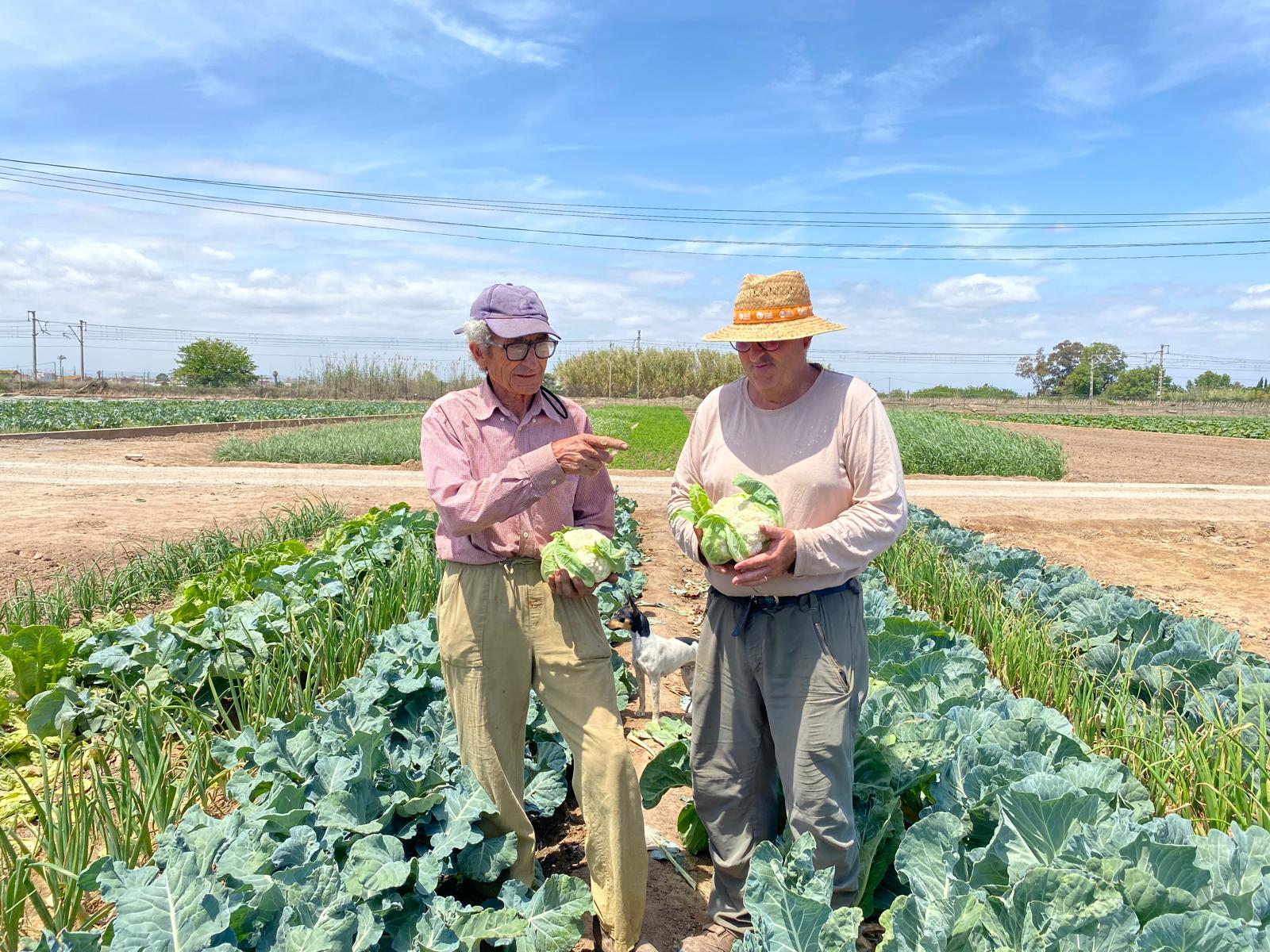 Calabazas ecológicas | Campos del Abuelo