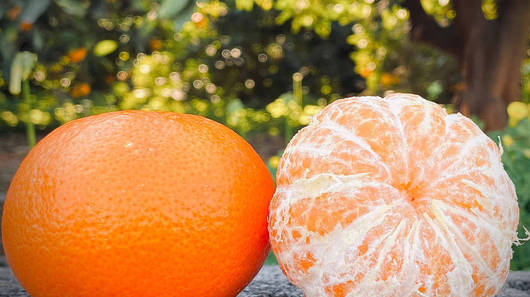 Gominolas saludables de mandarina