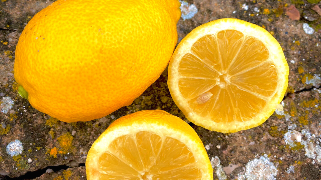 Postre de limón fácil y sin horno. Solo dos minutos.