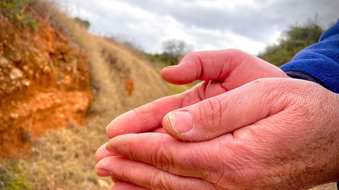 Que no te engañen ¿Cómo saber si compras directamente a un agricultor?