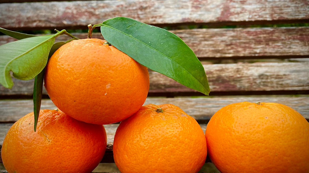 ¿Cómo es la mandarina Orri y por qué es considerada premium?