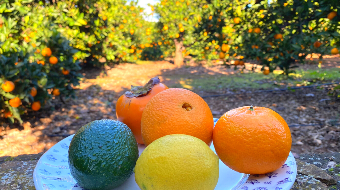 Supermercado, frutería o agricultor ¿Dónde comprar fruta de buena calidad?