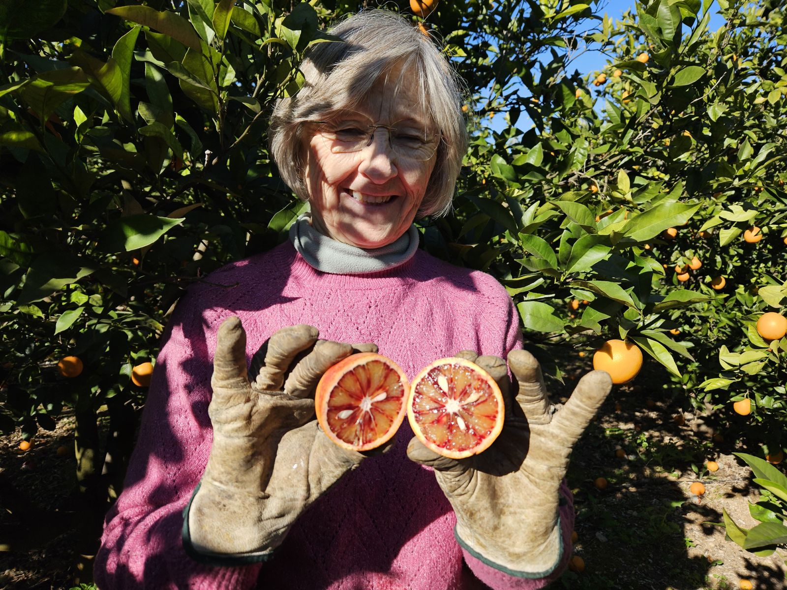 Agricultora Naranja Sanguinelli Campos Del Abuelo
