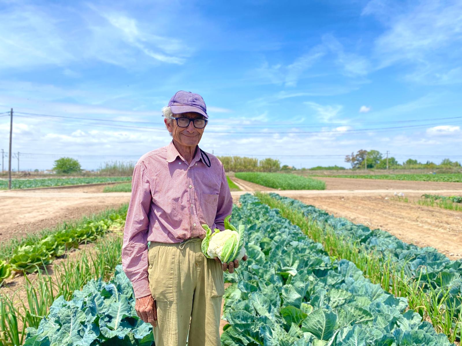 agricultor de Campos Del Abuelo en campo de coliflor