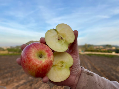 manzana fuji ecologica