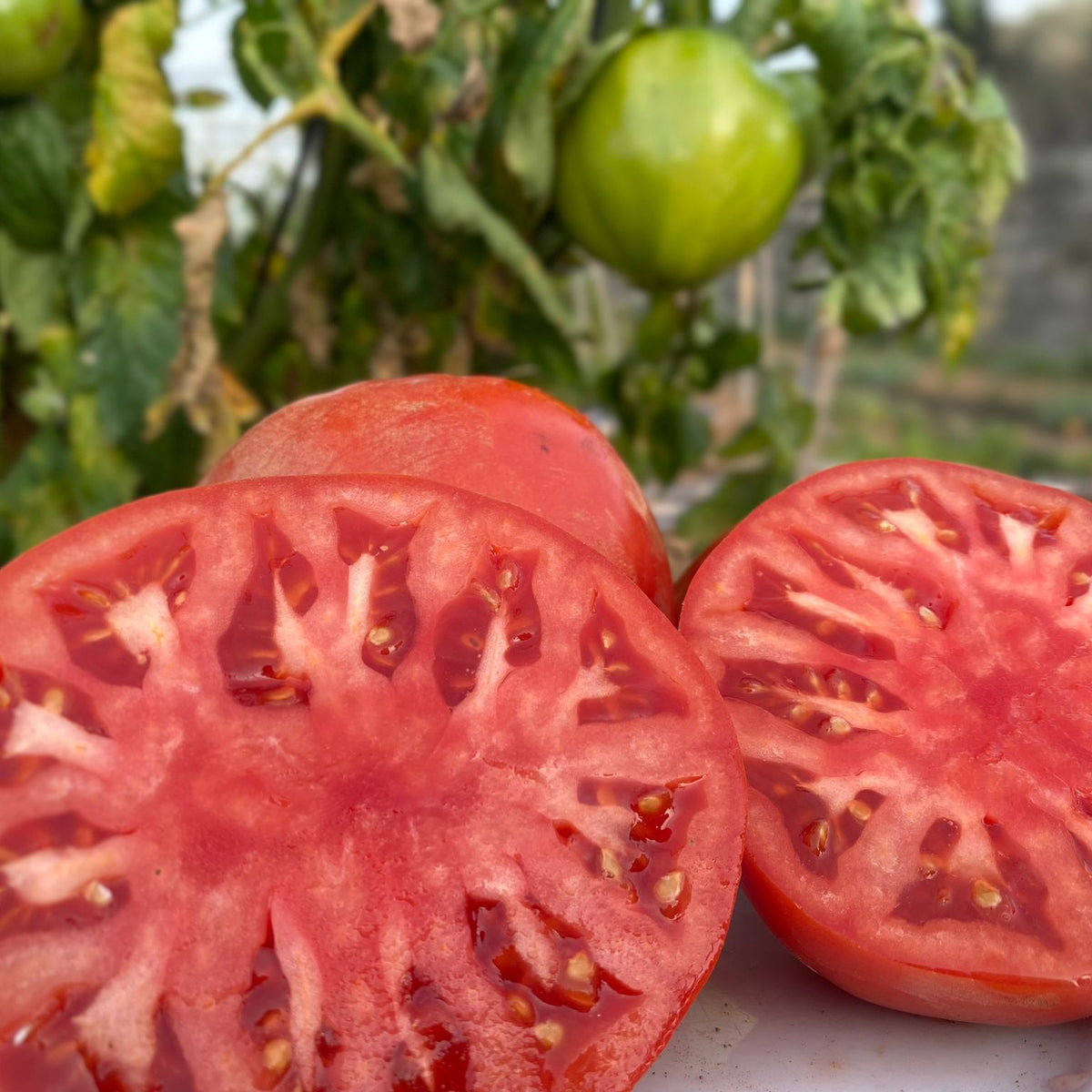 Beef Heart Tomato