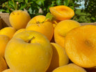 melocotones amarillos