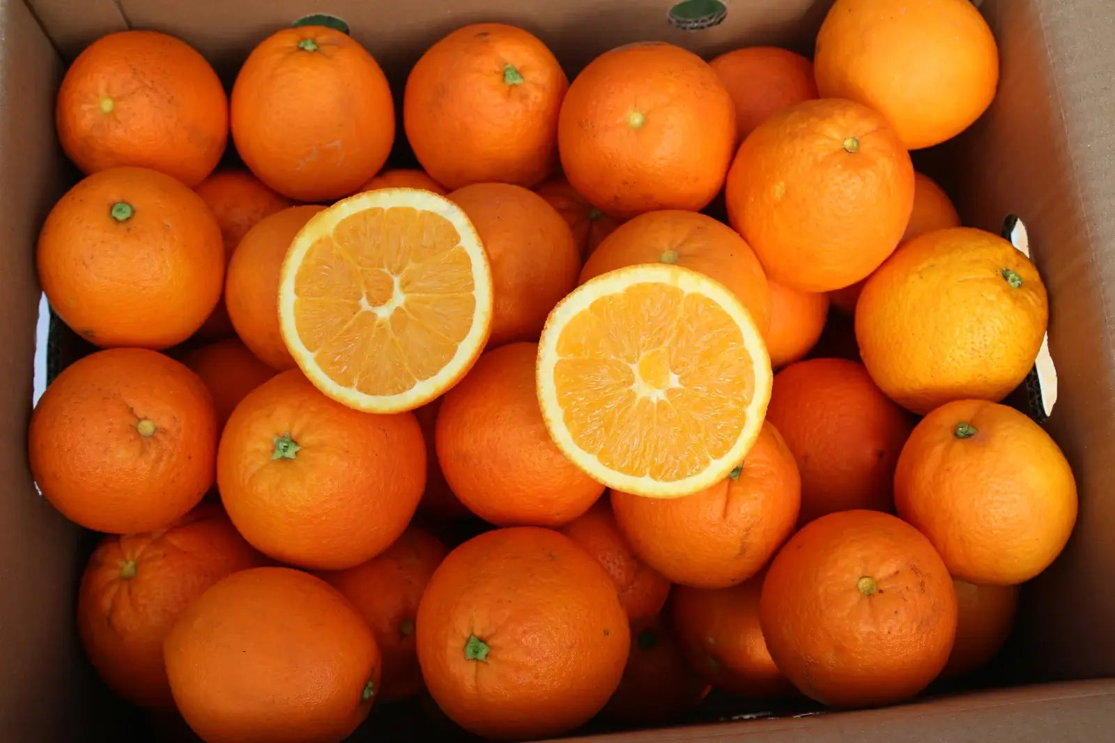 naranjas campos del abuelo