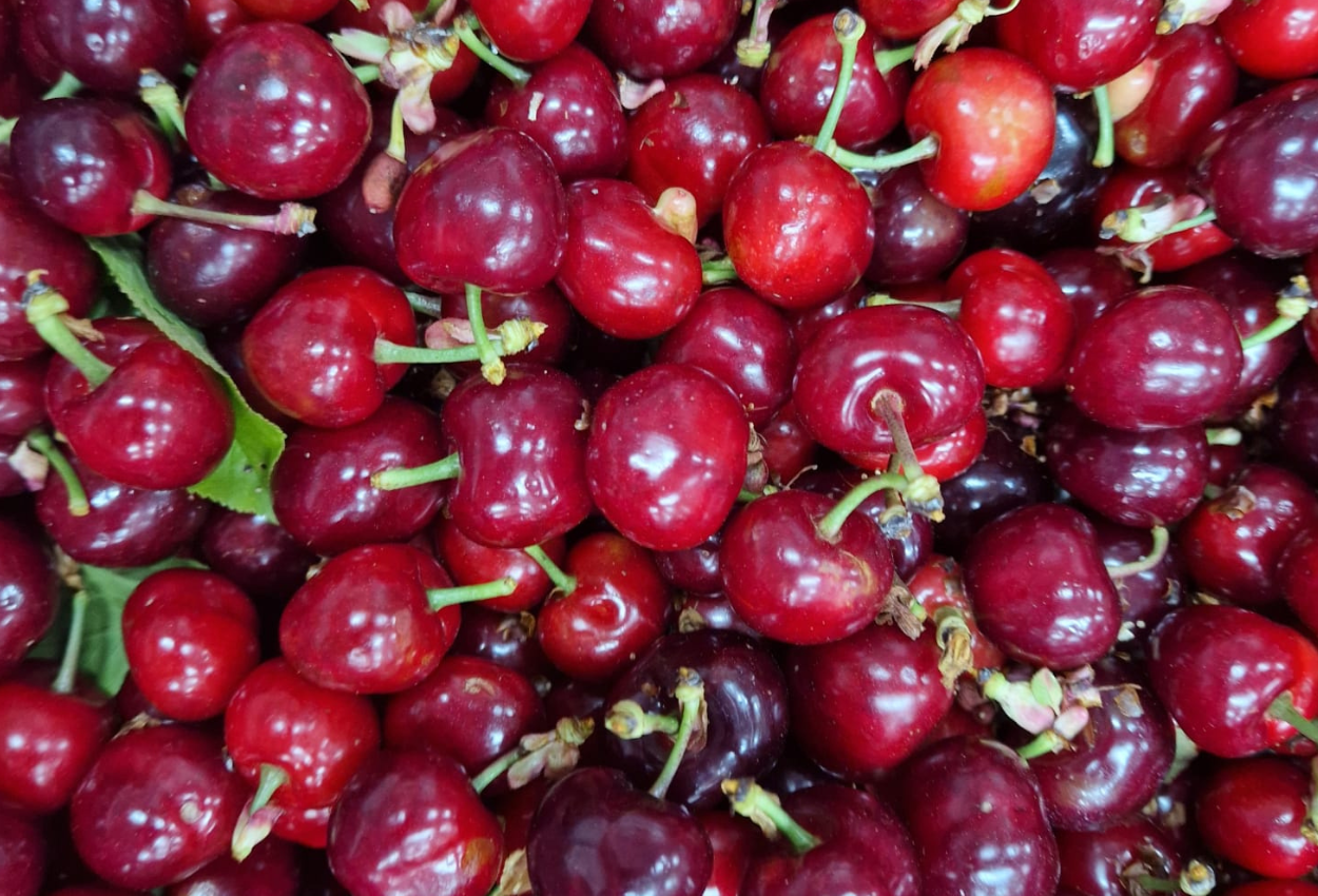 Cerezas de Campos del Abuelo 