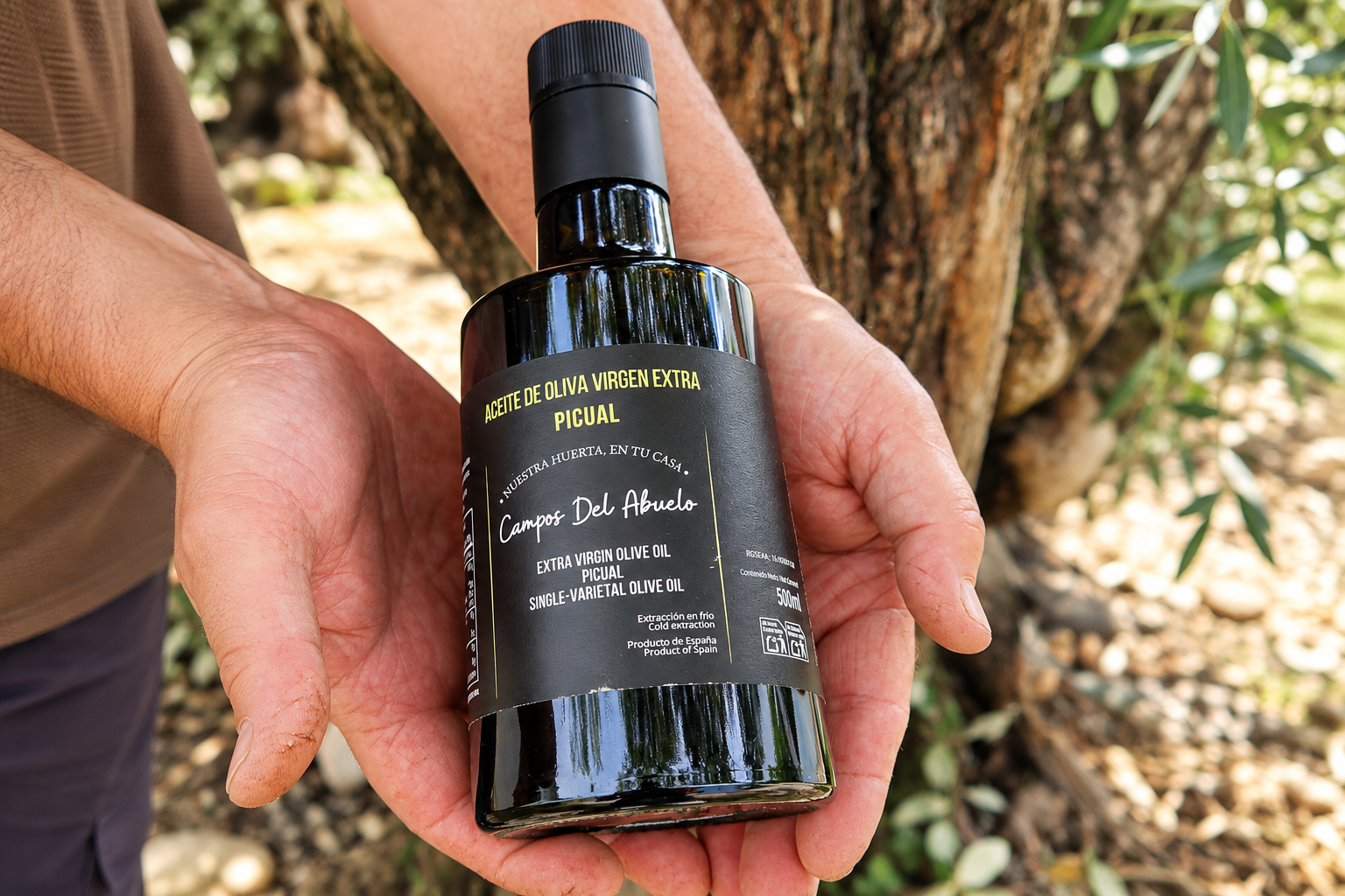 Aceite de oliva nuevo turbio y con posos: ¿es normal o está malo?