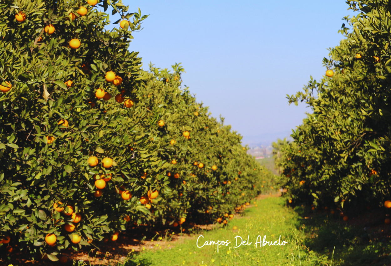 Cuando lo barato sale caro en el campo.