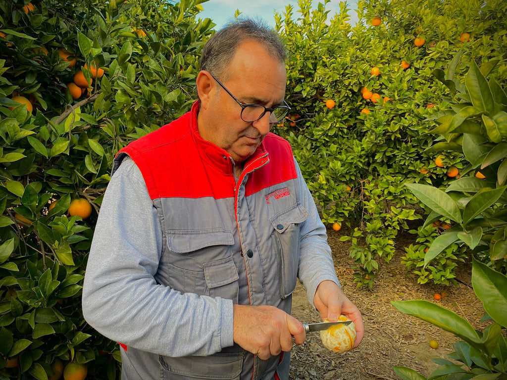 Pela La Naranja Con Cuchillo, Como Un Agricultor