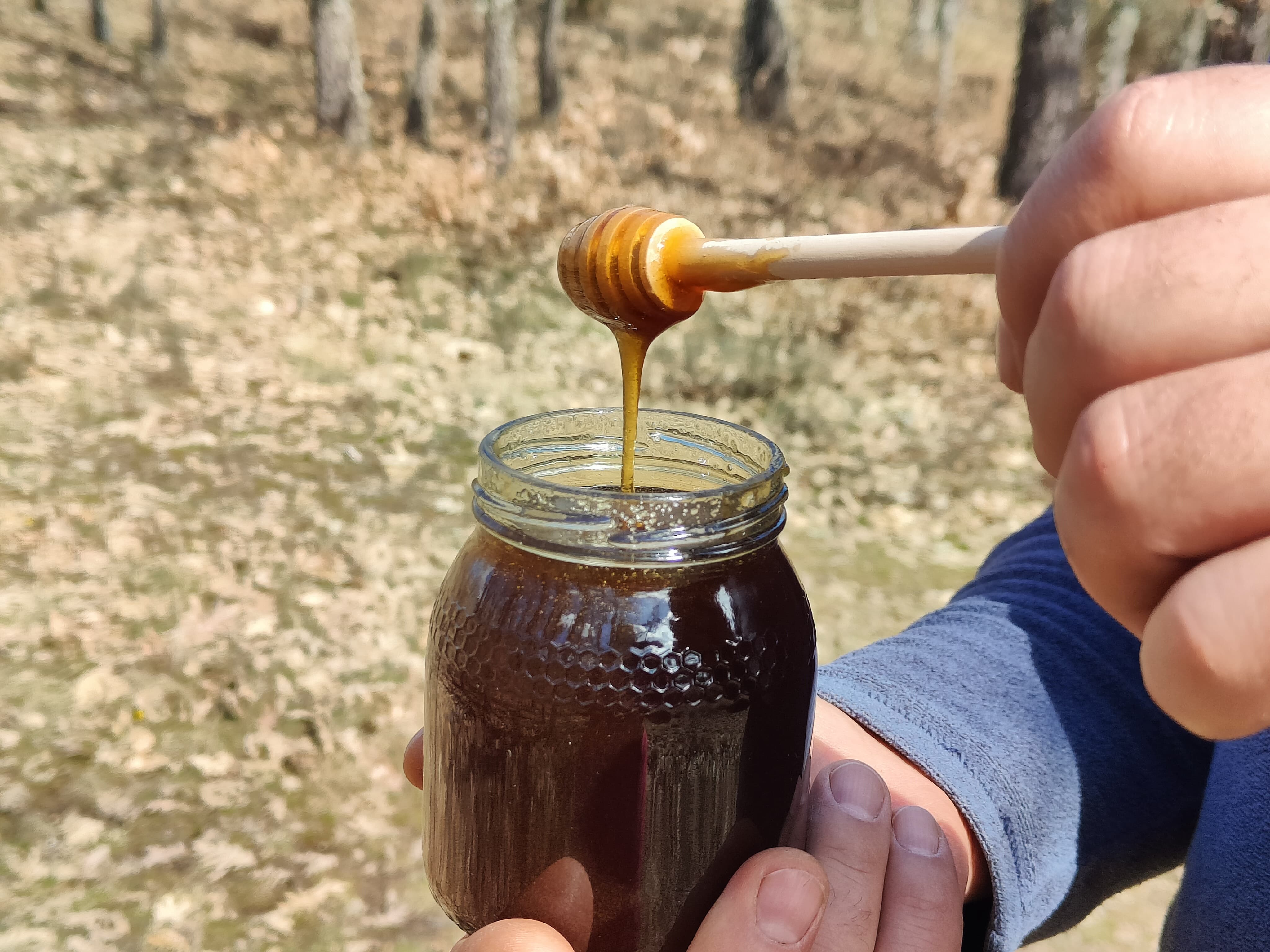 ¿Para qué sirve la miel? Usos reales, beneficios y riesgos en España