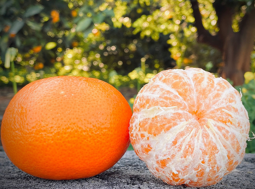 Gominolas saludables de mandarina