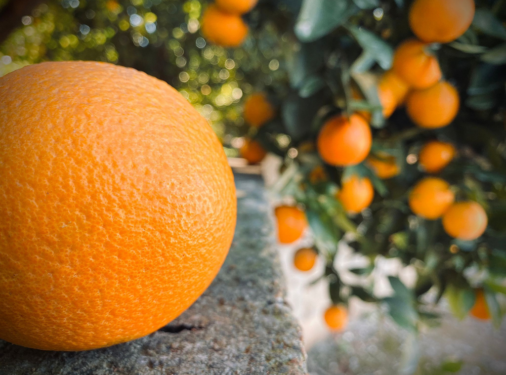 ¿Cómo saber si una naranja está buena? Te damos todas las claves