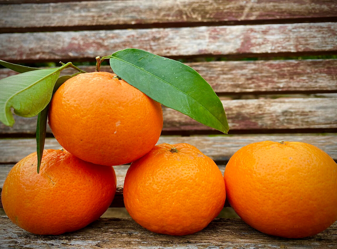 ¿Cómo es la mandarina Orri y por qué es considerada premium?