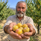 Ciruelo Oro de Montaña de Vicente, Montaña de Alicante · Campos del Abuelo
