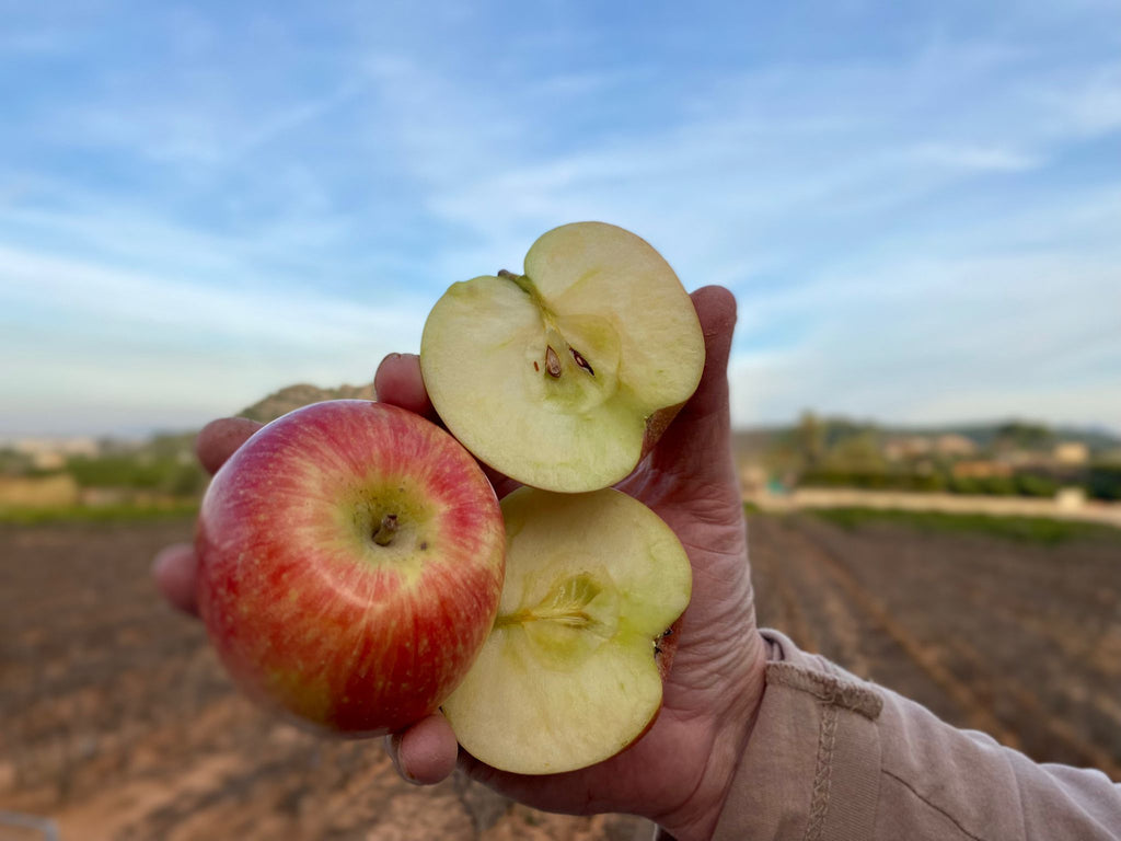 manzana fuji ecologica