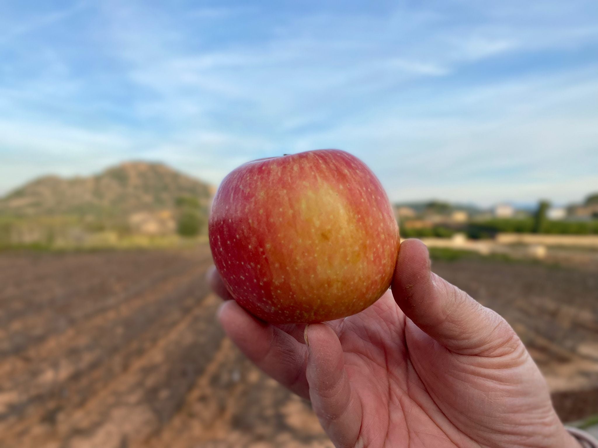 manzana fuji ecologica campos del abuelo