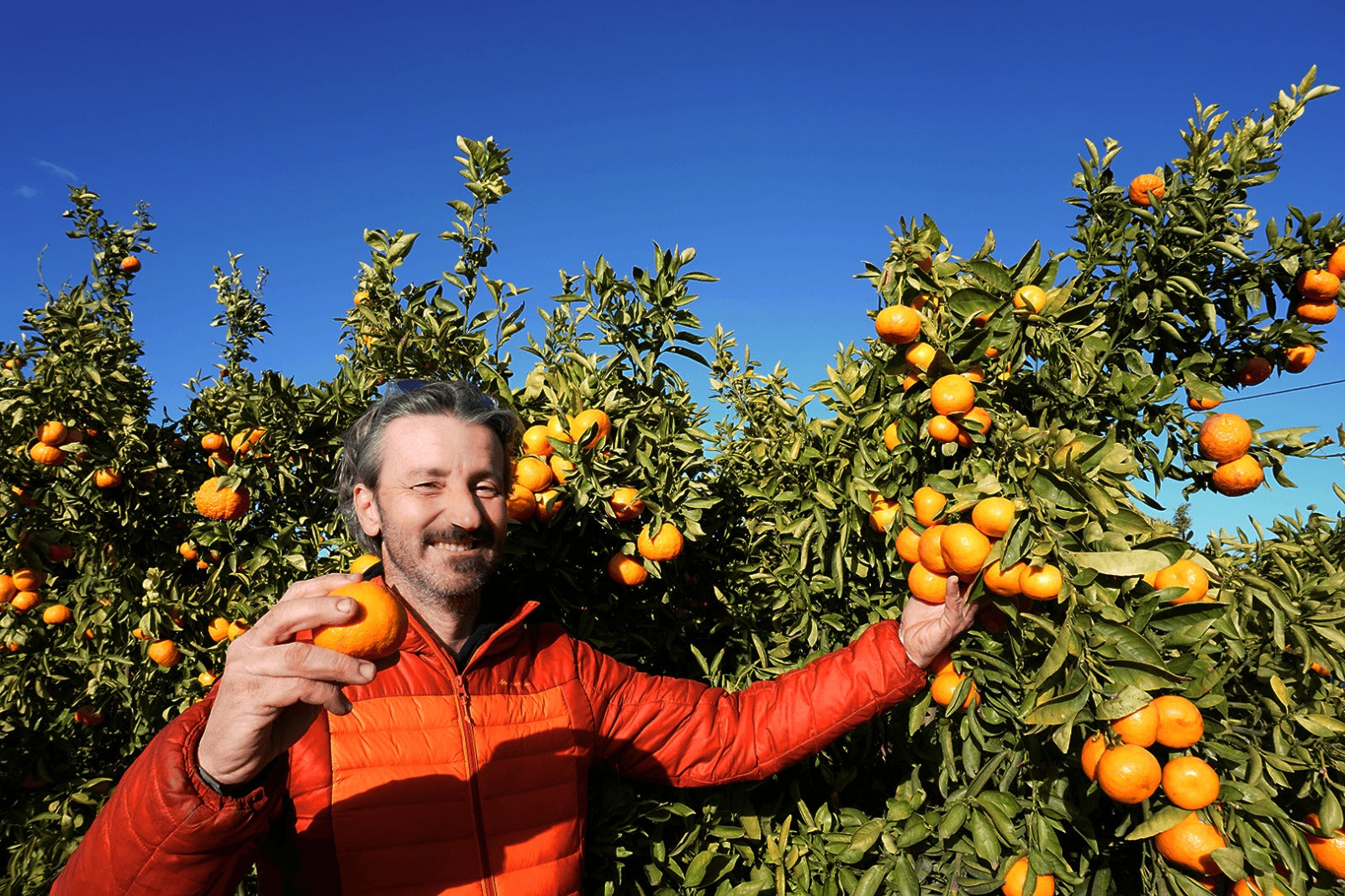 miguel agricultor mandarina pepita de oro campos del abuelo