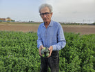 agricultor de pepino en la huerta