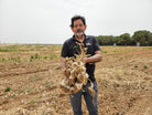 agricultor coge fardo de ajos