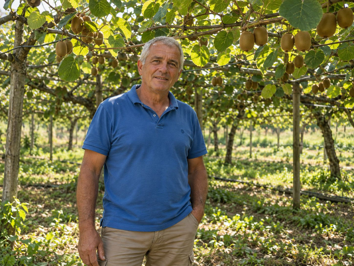 Kiwi oro de Salvador (foto 2) · Campos del Abuelo