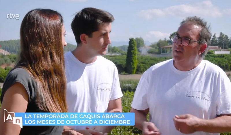 Persimmon season in our fields